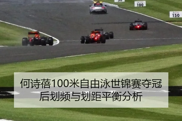 he-shi-bei-mi-zi-you-yong-shi-jin-sai-duo-guan-hou-hua-pin-yu-hua-ju-ping-heng-fen-xi-2-985.jpg