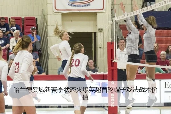 ha-lan-de-man-cheng-xin-sai-ji-zhuang-tai-huo-bao-ying-chao-shou-lun-mao-zi-xi-fa-zhan-shu-jia-zhi-3-766.jpg