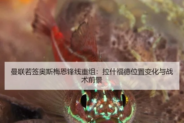 曼联若签奥斯梅恩锋线重组：拉什福德位置变化与战术前景